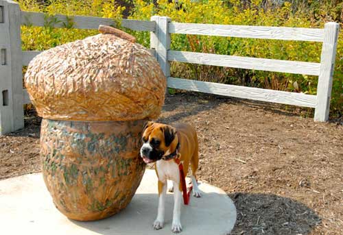 Carol Fleming Sculpture