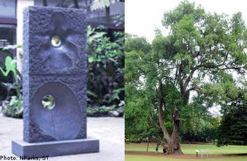 Lee Soo Hong Sculpture at Singapore Botanic Gardens