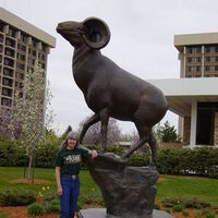 Ram Proud by Dawn Weimer - search and link Sculpture with SculptSite.com