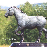 Concord Hope by Don Beck - search and link Sculpture with SculptSite.com