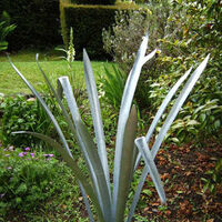 Phormium by Richard Warner - search and link Sculpture with SculptSite.com