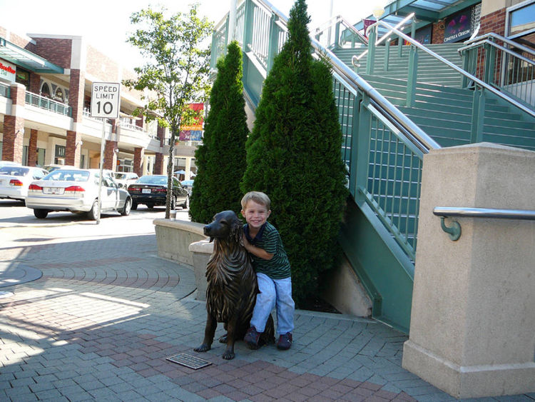 Bo - Golden Retriever Dog by Anita Watts - search and link Sculpture with SculptSite.com