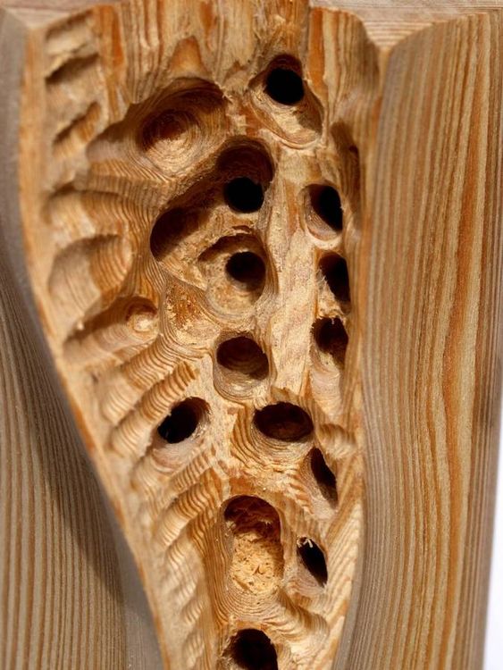 Vagina by Ilia Boyarov - search and link Sculpture with SculptSite.com