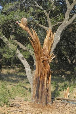 Birds Up by Larry Lefner - search and link Sculpture with SculptSite.com