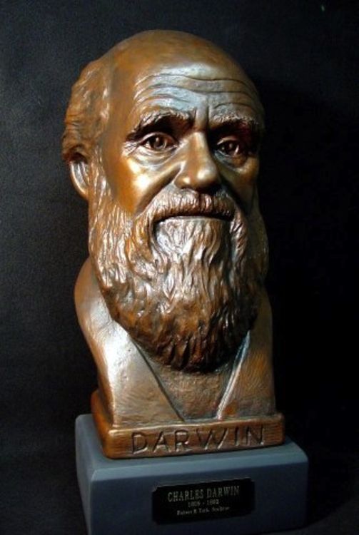 Charles Darwin by Robert Toth - search and link Sculpture with SculptSite.com