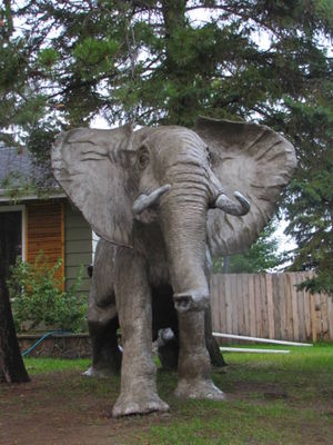 African Elephant by Edward Kitt - search and link Sculpture with SculptSite.com
