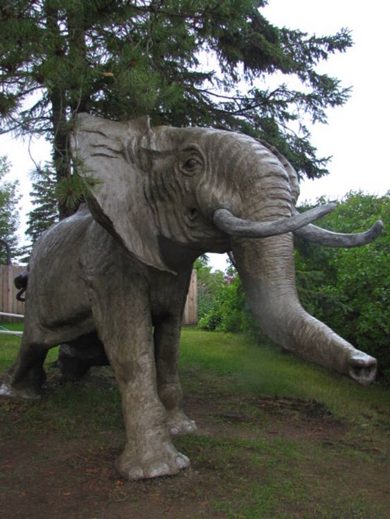 African Elephant by Edward Kitt - search and link Sculpture with SculptSite.com