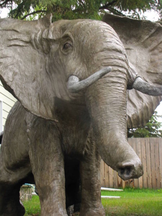 African Elephant by Edward Kitt - search and link Sculpture with SculptSite.com