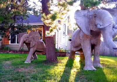 baby elephant by Edward Kitt - search and link Sculpture with SculptSite.com