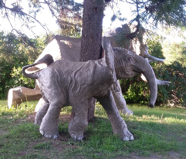 baby elephant by Edward Kitt - search and link Sculpture with SculptSite.com