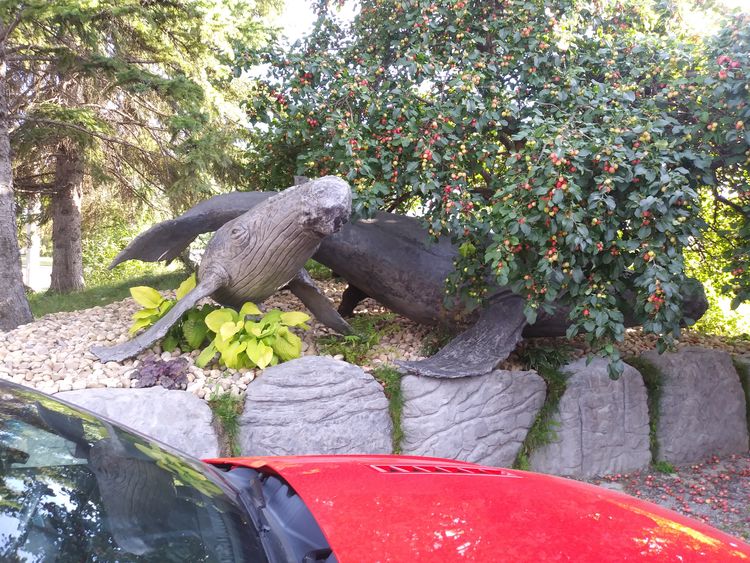 Humpback Whales by Edward Kitt - search and link Sculpture with SculptSite.com