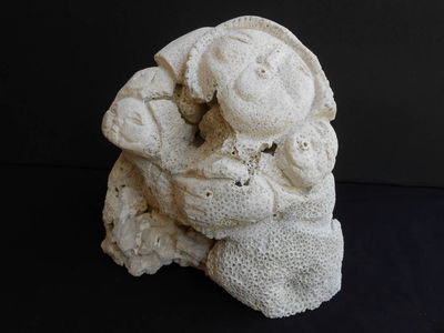 Mother With Babies by David Willis - search and link Sculpture with SculptSite.com