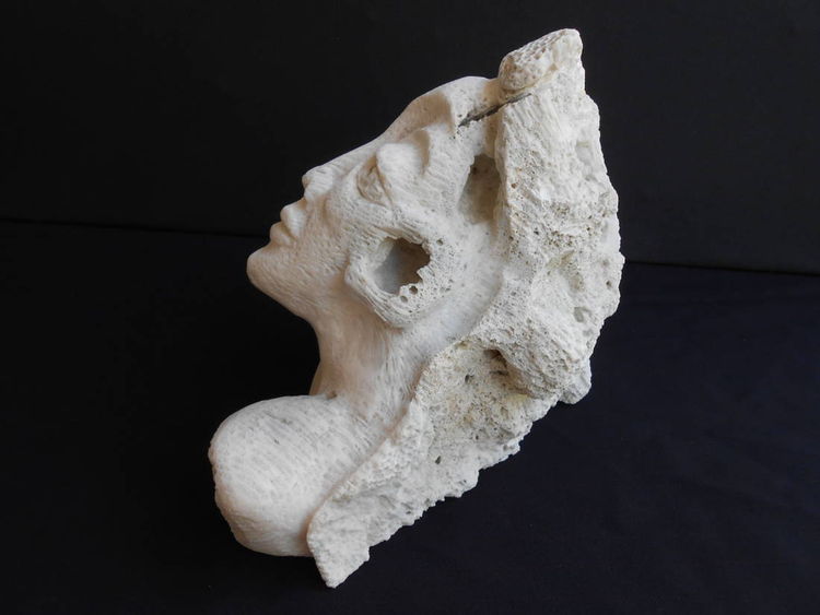 Sea Beauty by David Willis - search and link Sculpture with SculptSite.com