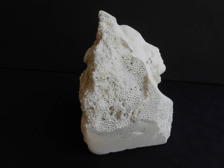 Sea Beauty by David Willis - search and link Sculpture with SculptSite.com