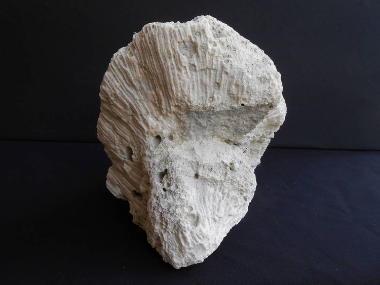 Uncle by David Willis - search and link Sculpture with SculptSite.com
