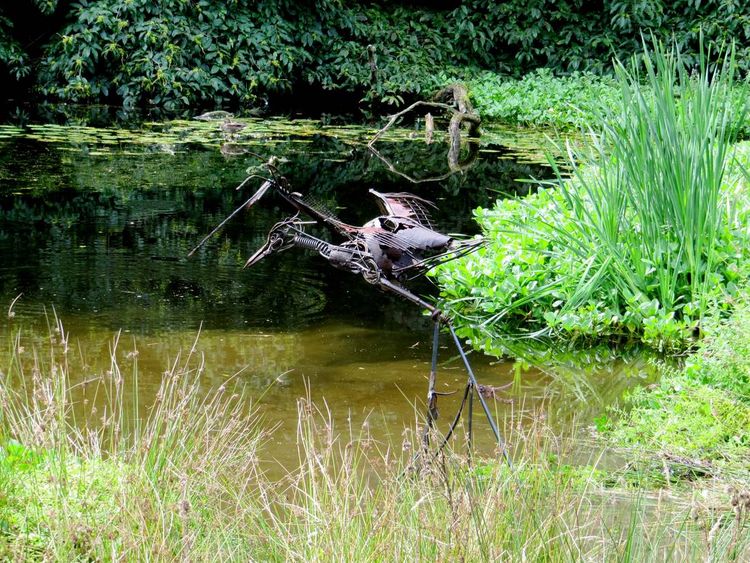 Heron by Fiona Campbell - search and link Sculpture with SculptSite.com