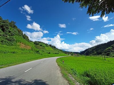 Country road scenery by Edouard Manet - search and link Sculpture with SculptSite.com