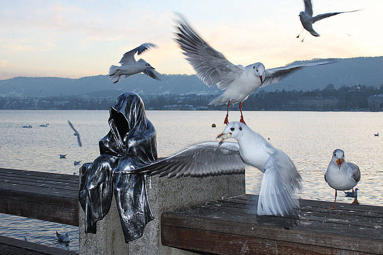  by Manfred Kielnhofer - search and link Sculpture with SculptSite.com