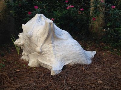 Conch Shell by Carol Fleming - search and link Sculpture with SculptSite.com