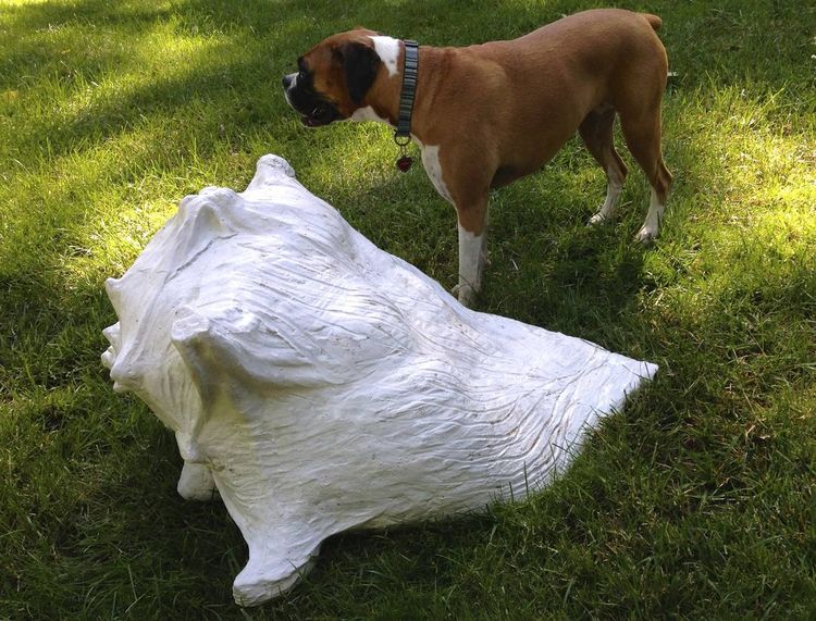 Conch Shell by Carol Fleming - search and link Sculpture with SculptSite.com