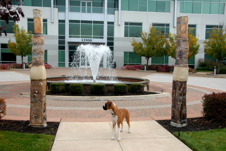 Riverport Commons by Carol Fleming - search and link Sculpture with SculptSite.com