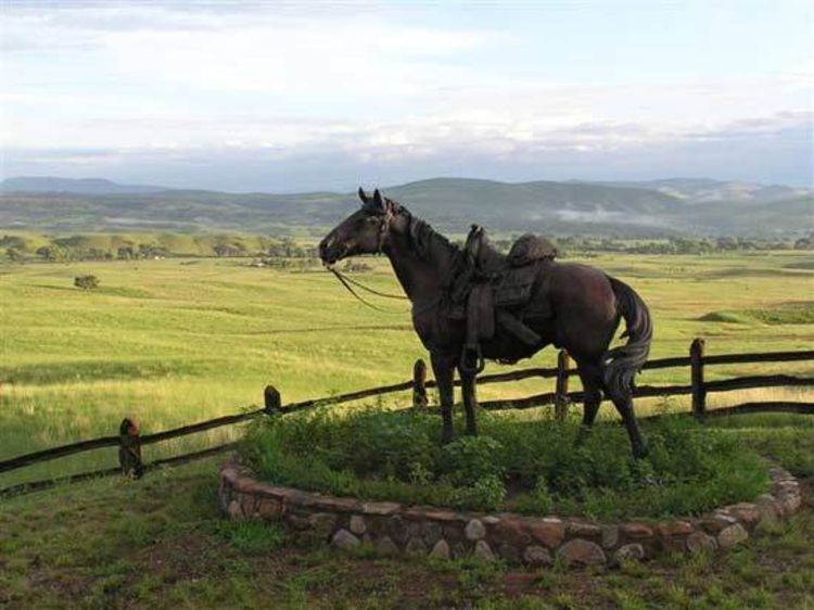 Heart of the West by James Muir - search and link Sculpture with SculptSite.com