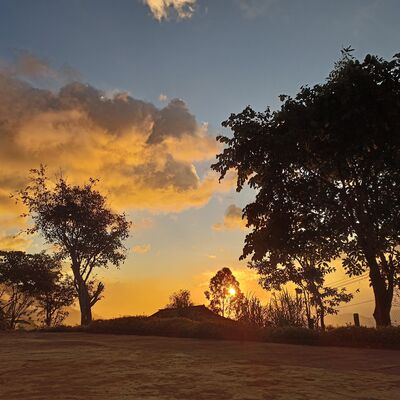 Rural landscape in the late afternoon by Morna Laird - search and link Sculpture with SculptSite.com