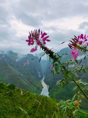 A morning in the highlands by Ngo Le Thien Phuc - search and link Sculpture with SculptSite.com